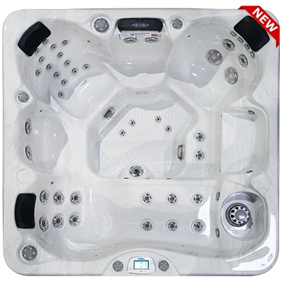 Avalon-X EC-849LX hot tubs for sale in Camphill